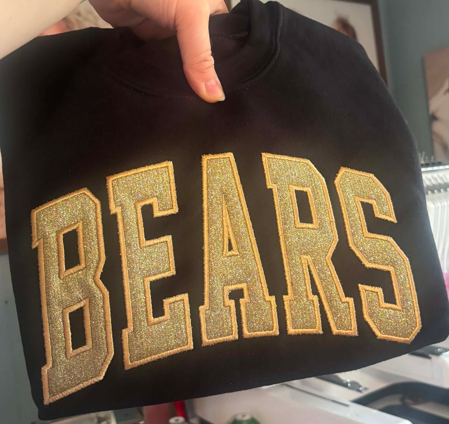 Mascot Applique Sweatshirt